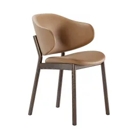 Holly chairs by calligaris